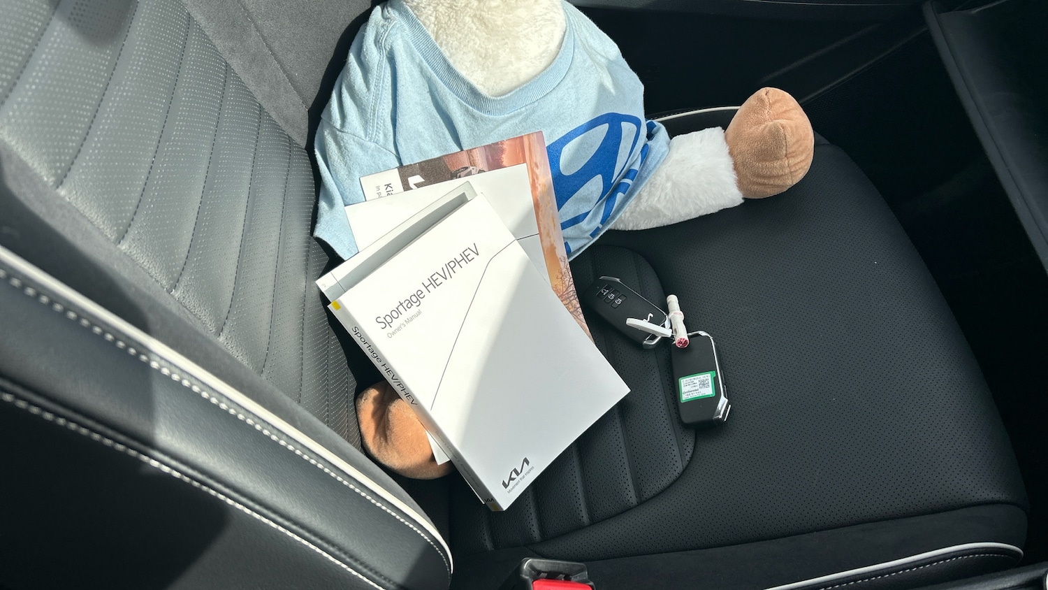 Used Kia Sportage 2023 for sale - 78190882: Photo 19