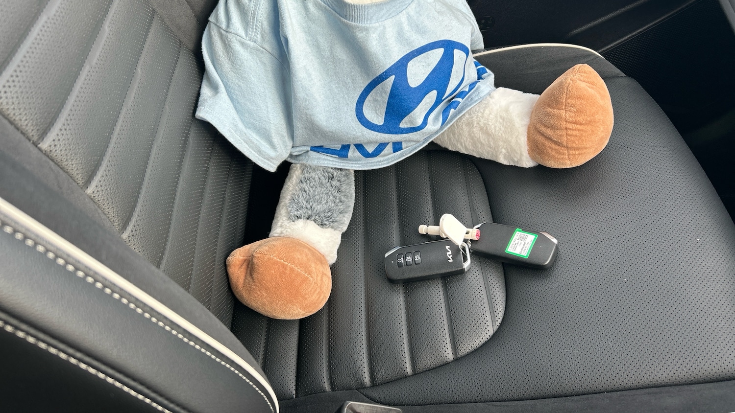 Used Kia Sportage 2023 for sale - 78190882: Photo 20