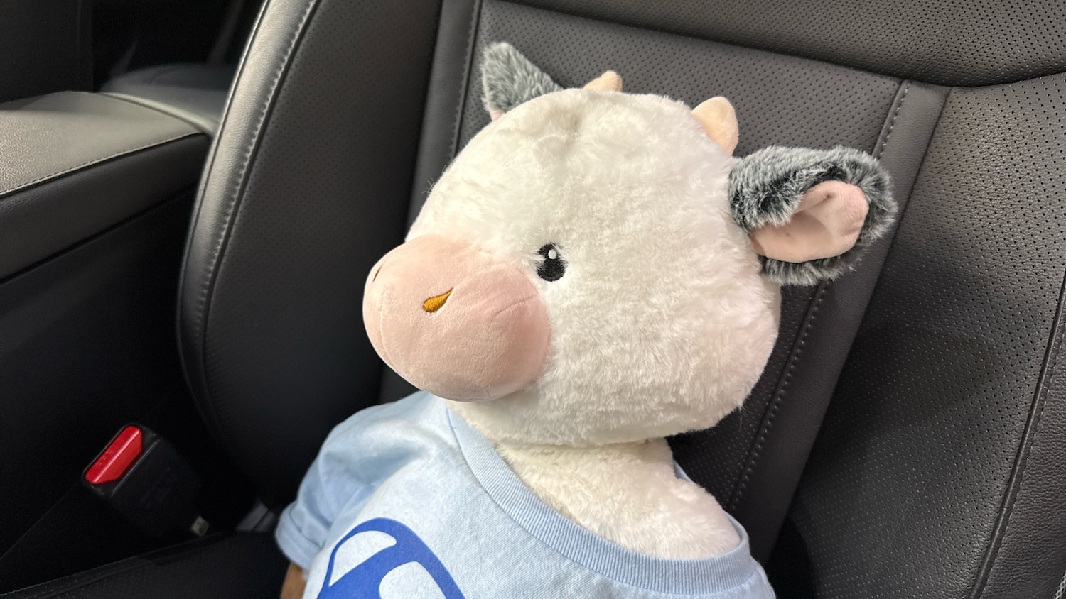 Used Hyundai TUCSON 2024 for sale - 77493218: Photo 40