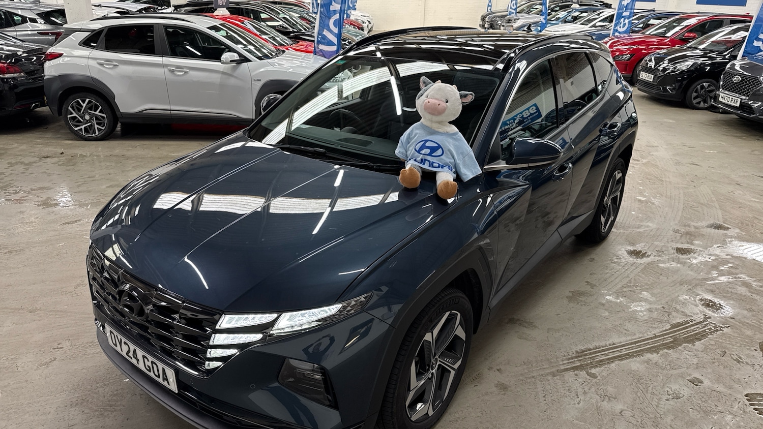 Used Hyundai TUCSON 2024 for sale - 77493218: Photo 41