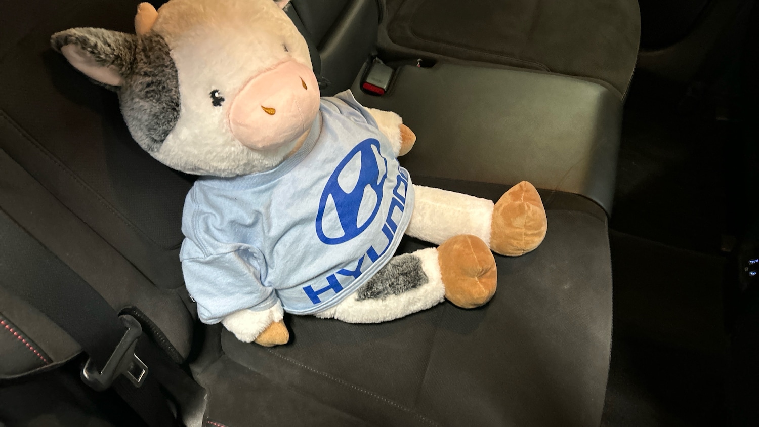 Used Hyundai TUCSON 2022 for sale - 76957369: Photo 33