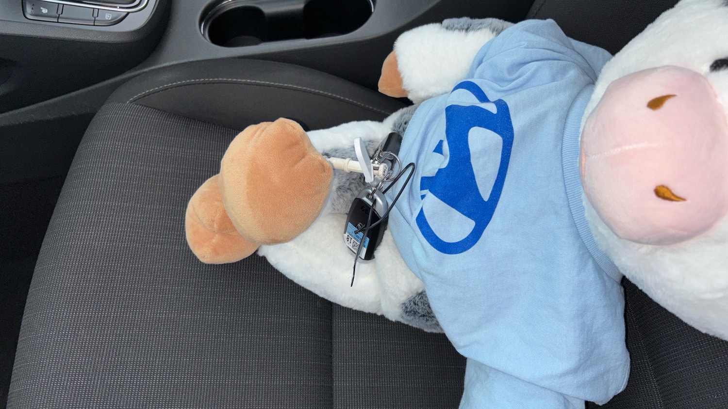 Used Hyundai KONA 2023 for sale - 75999479: Photo 20