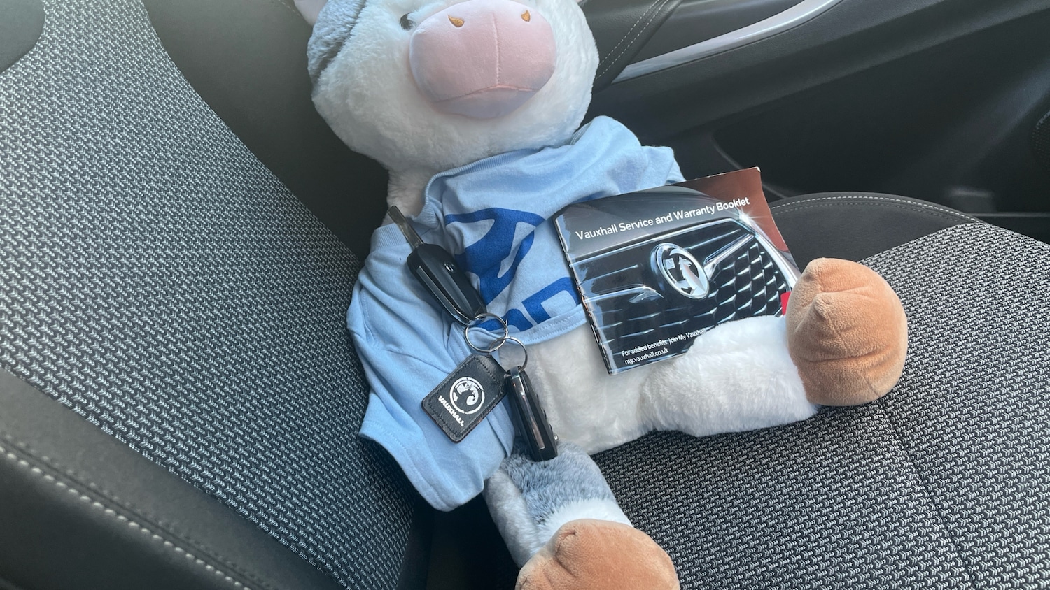 Used Vauxhall Grandland X 2019 for sale - 76427763: Photo 19