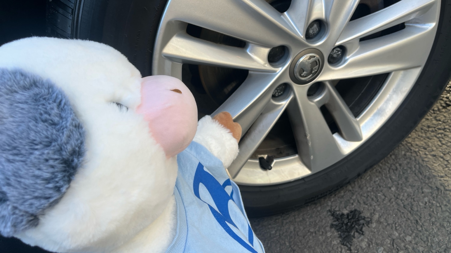 Used Vauxhall Grandland X 2019 for sale - 76427763: Photo 41