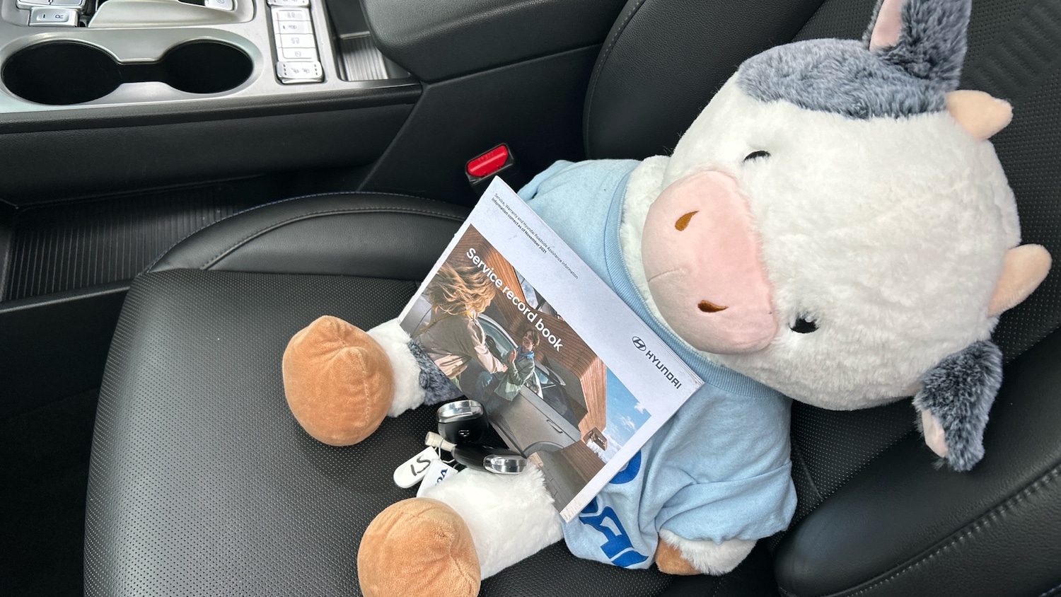 Used Hyundai KONA 2022 for sale - 77375804: Photo 19