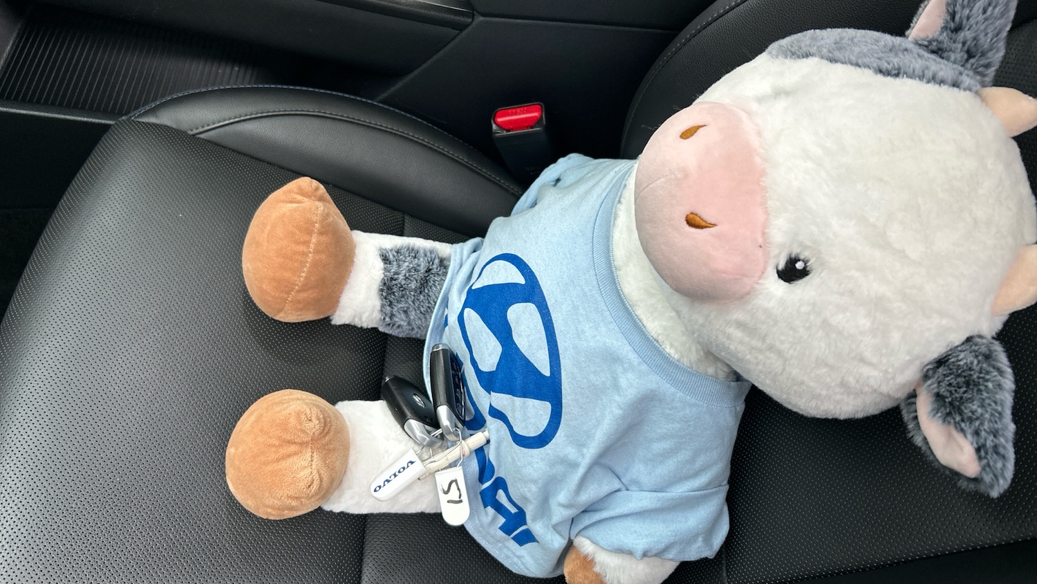 Used Hyundai KONA 2022 for sale - 77375804: Photo 20