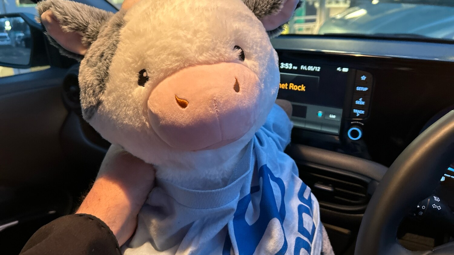 Used Hyundai i10 2025 for sale - 76493784: Photo 35