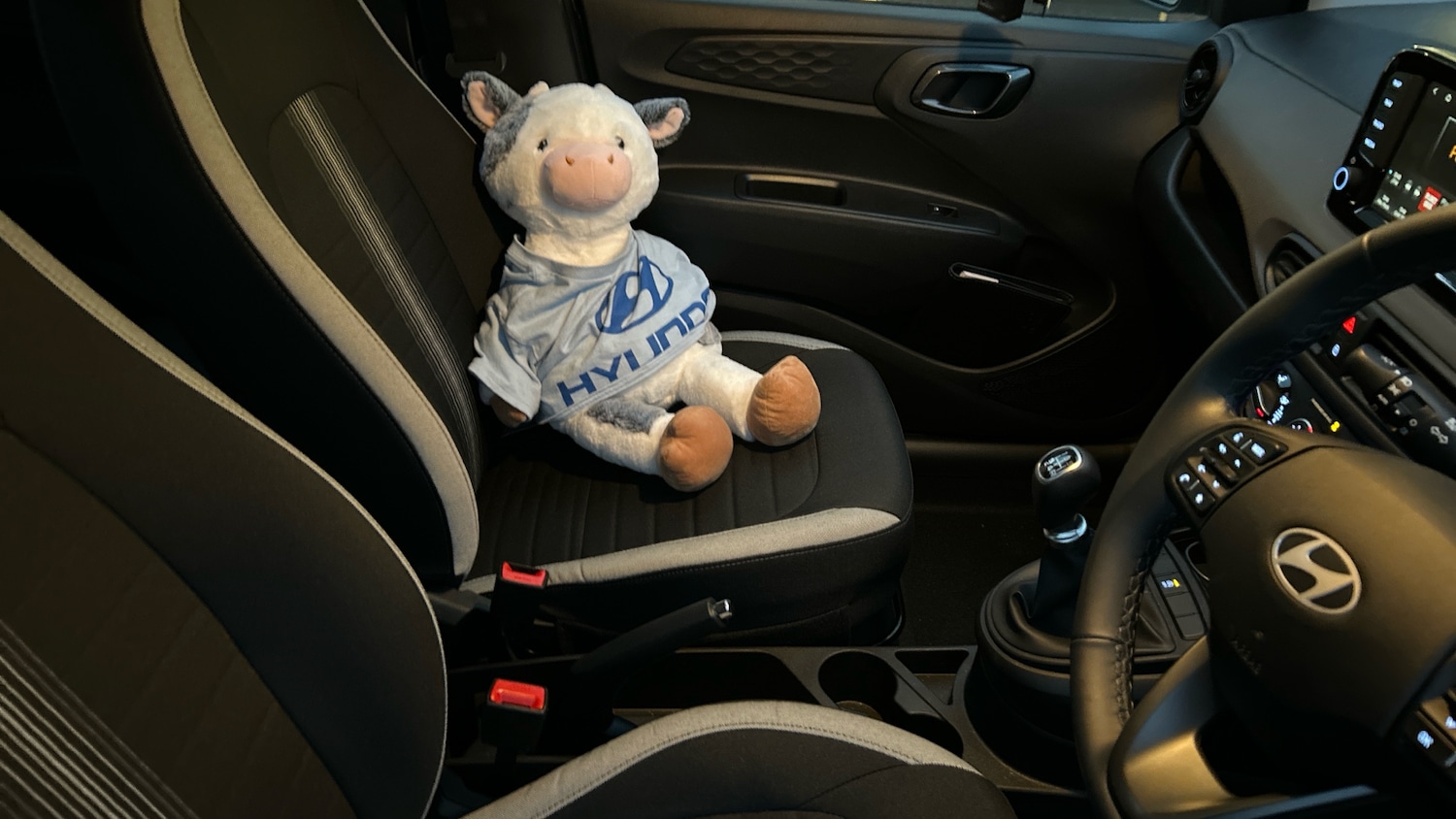 Used Hyundai i10 2025 for sale - 76493784: Photo 36