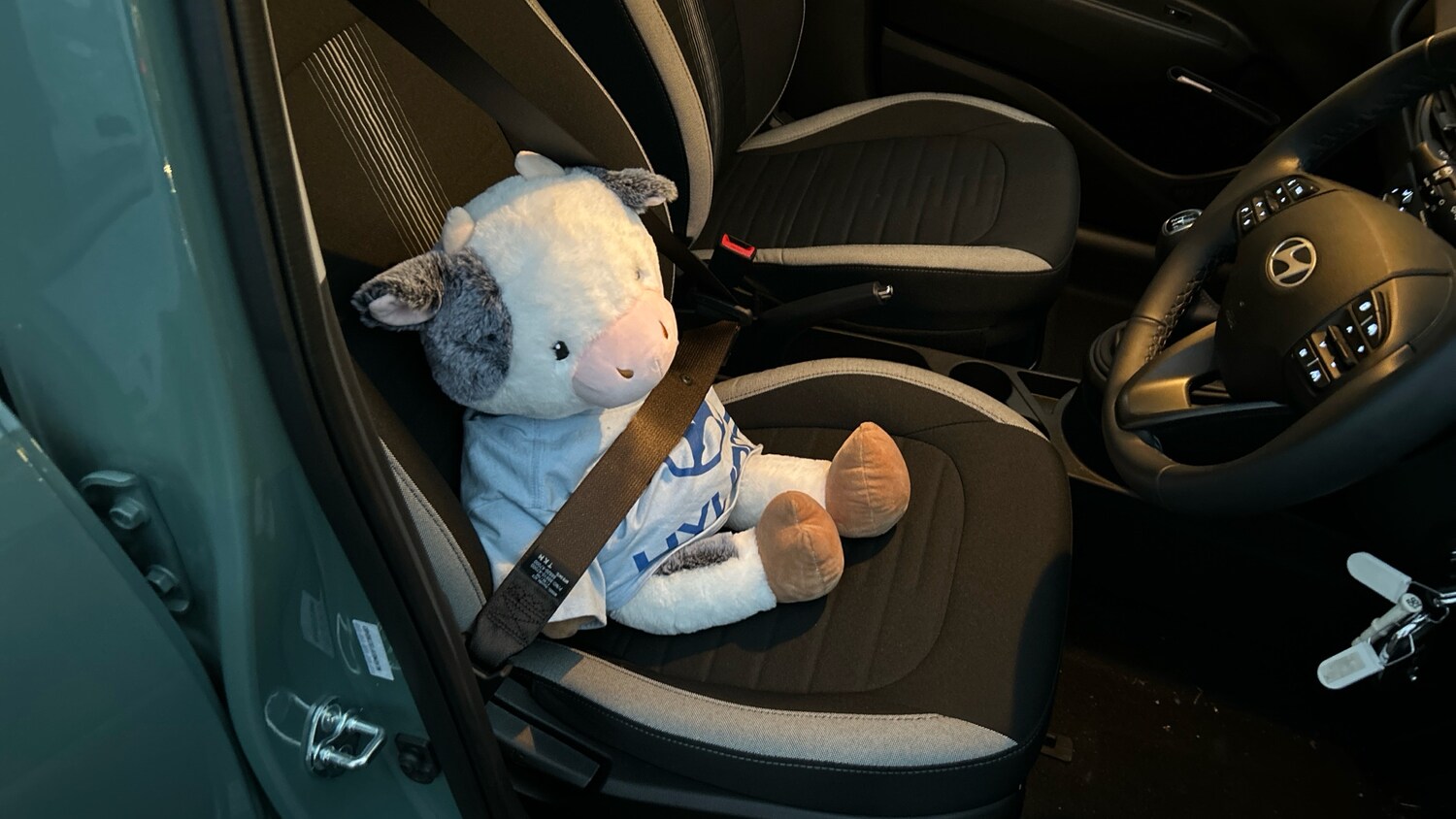 Used Hyundai i10 2025 for sale - 76493784: Photo 38