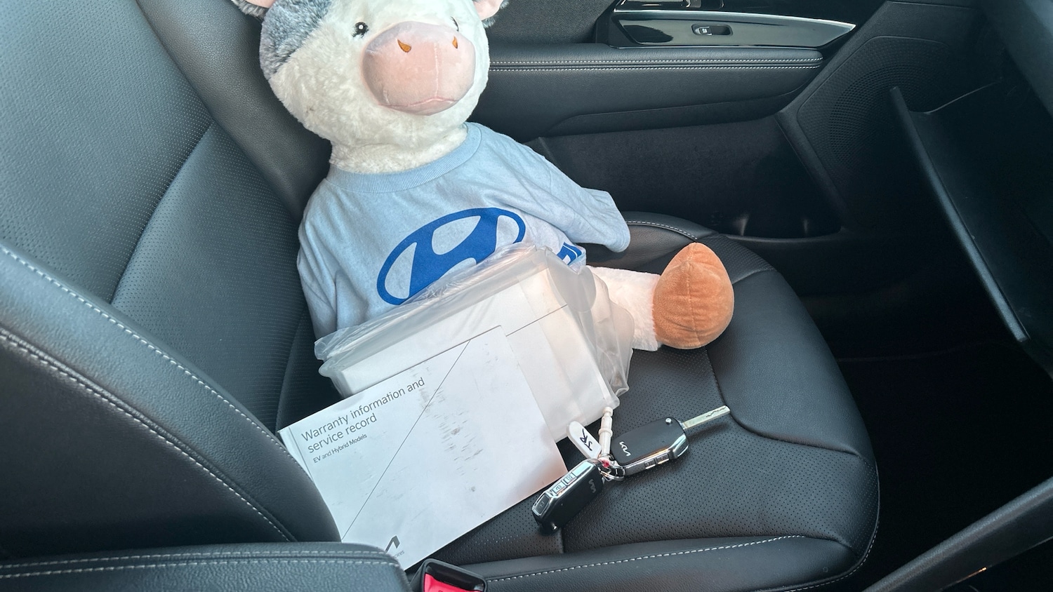 Used Kia Niro 2022 for sale - 77871929: Photo 19