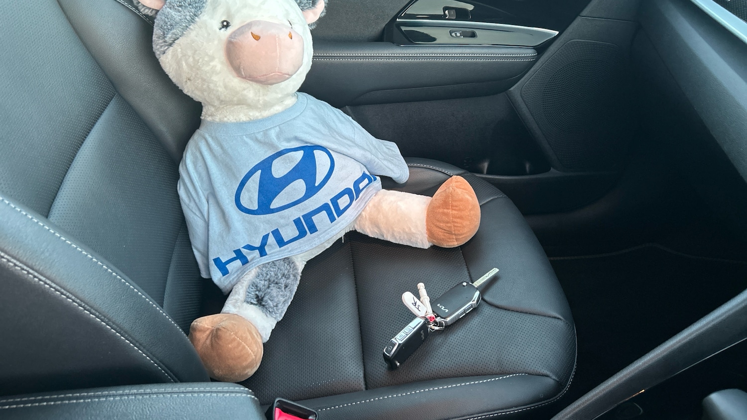 Used Kia Niro 2022 for sale - 77871929: Photo 20