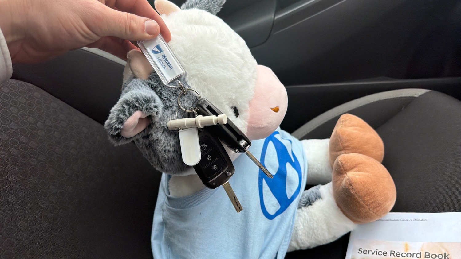 Used Hyundai KONA 2019 for sale - 76762343: Photo 20