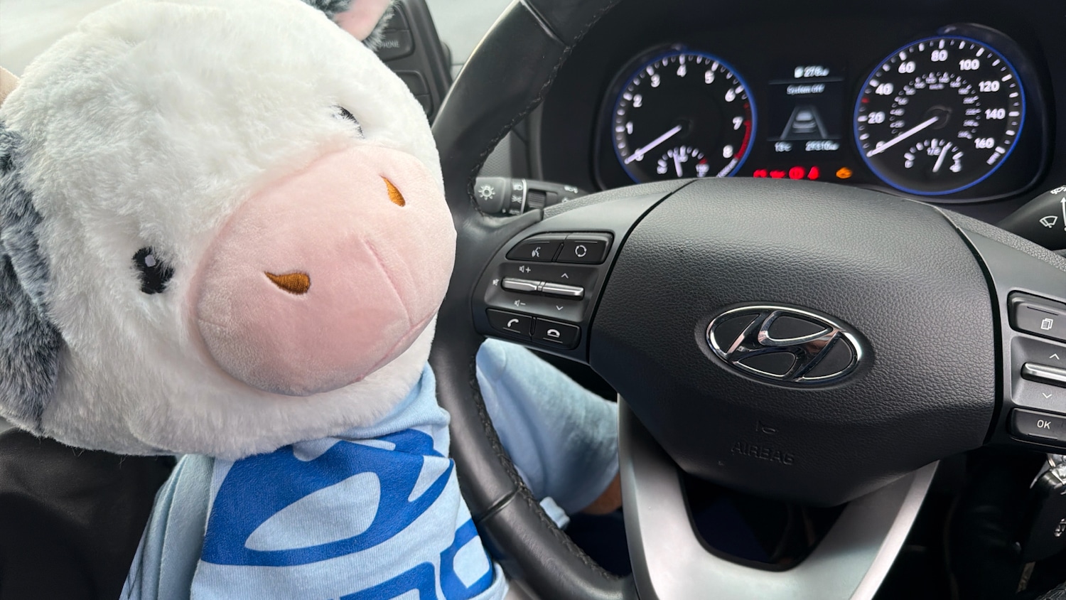 Used Hyundai KONA 2019 for sale - 76762343: Photo 32