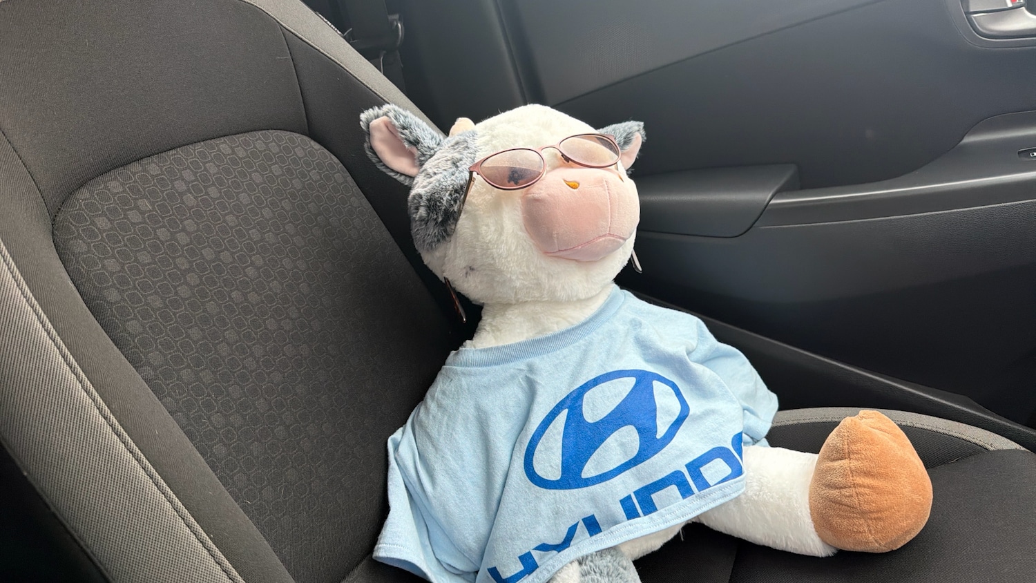 Used Hyundai KONA 2019 for sale - 76762343: Photo 34