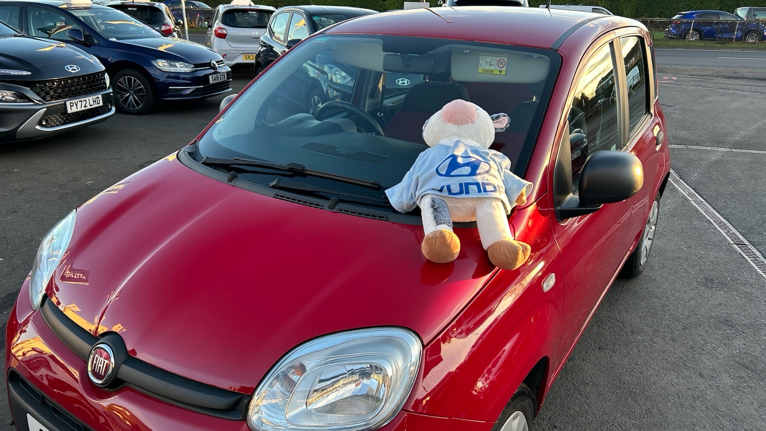 Used Fiat Panda 2016 for sale - 76719228: Photo 29