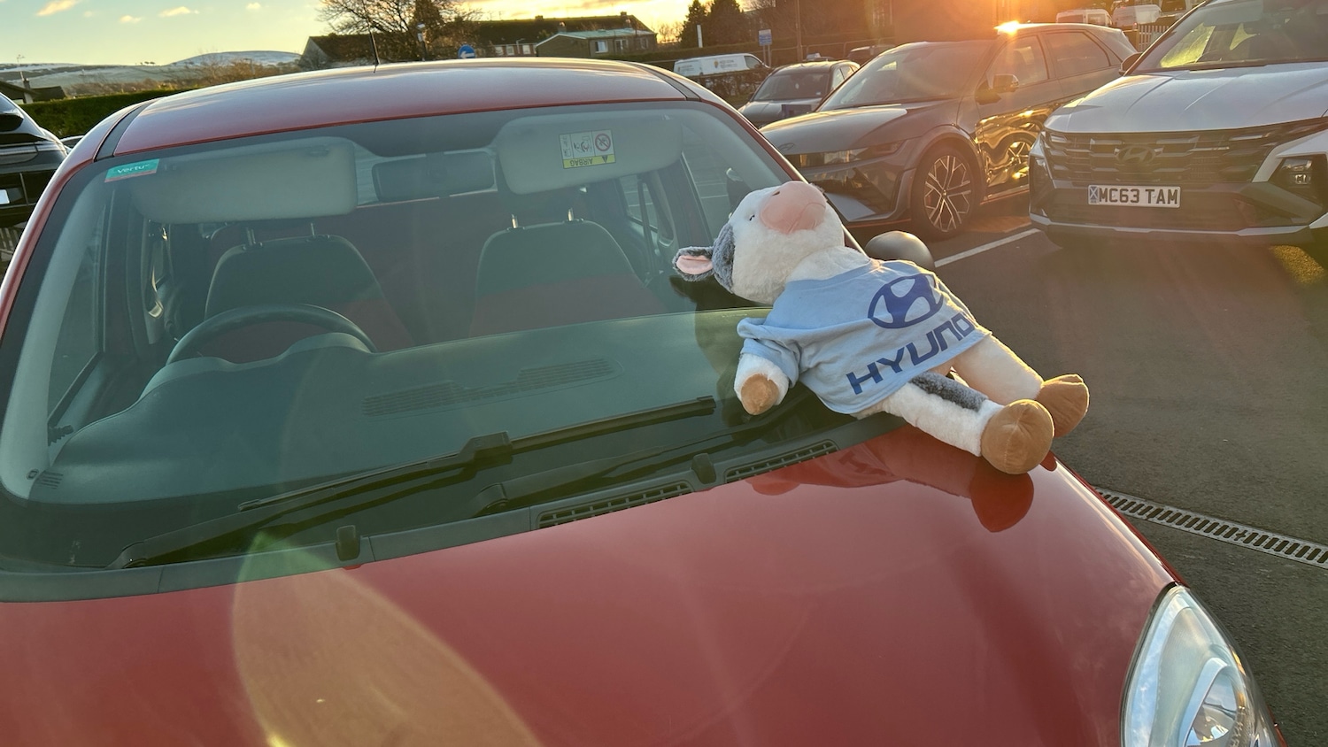 Used Fiat Panda 2016 for sale - 76719228: Photo 30