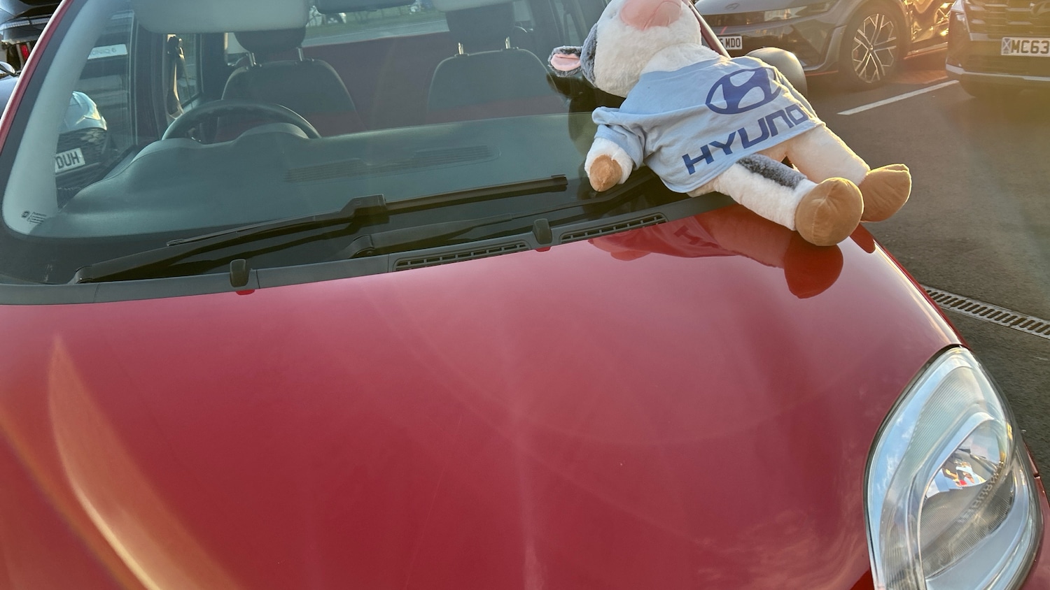 Used Fiat Panda 2016 for sale - 76719228: Photo 31