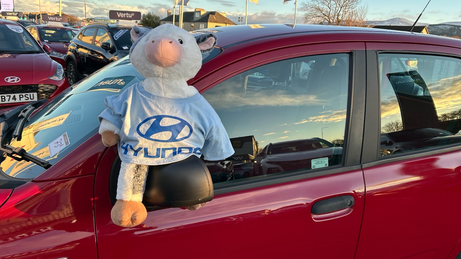 Used Fiat Panda 2016 for sale - 76719228: Photo 38