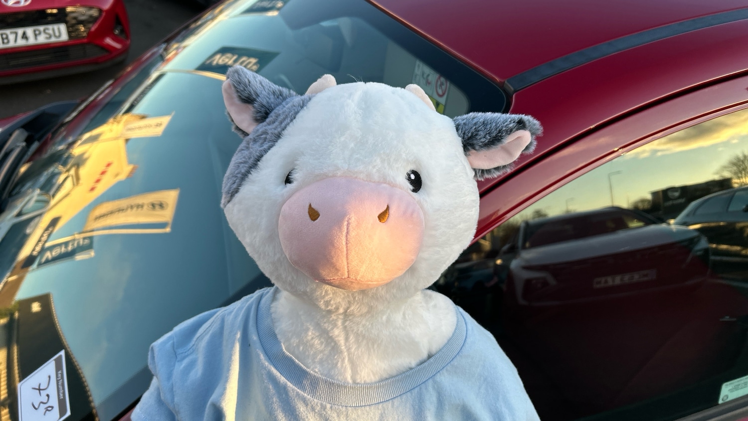 Used Fiat Panda 2016 for sale - 76719228: Photo 39