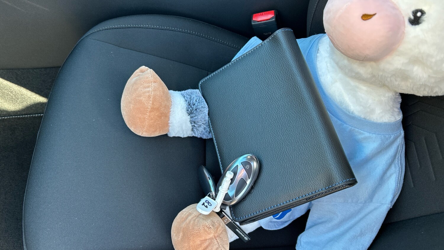 Used Hyundai KONA 2025 for sale - 76504424: Photo 19