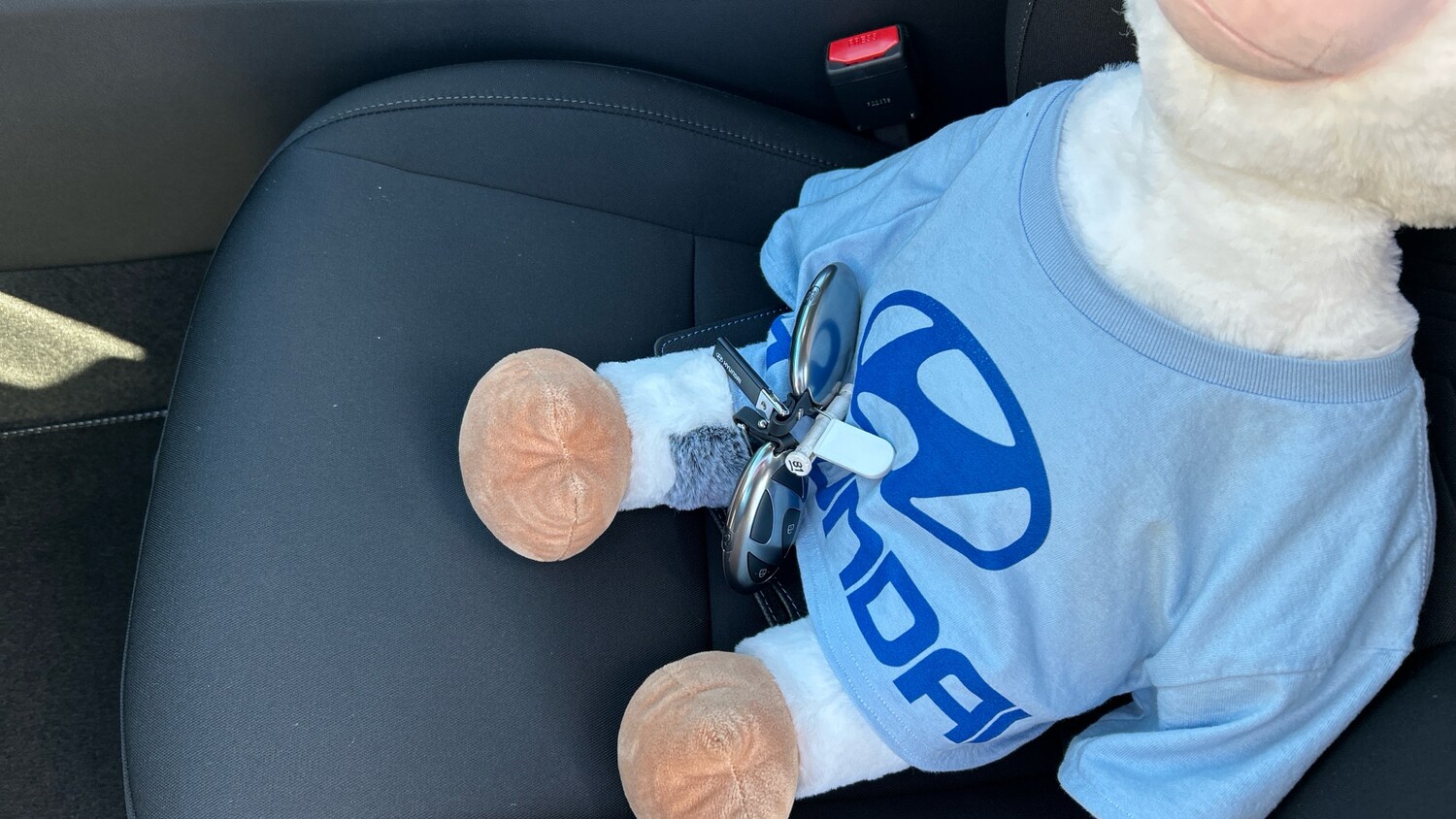 Used Hyundai KONA 2025 for sale - 76504424: Photo 20