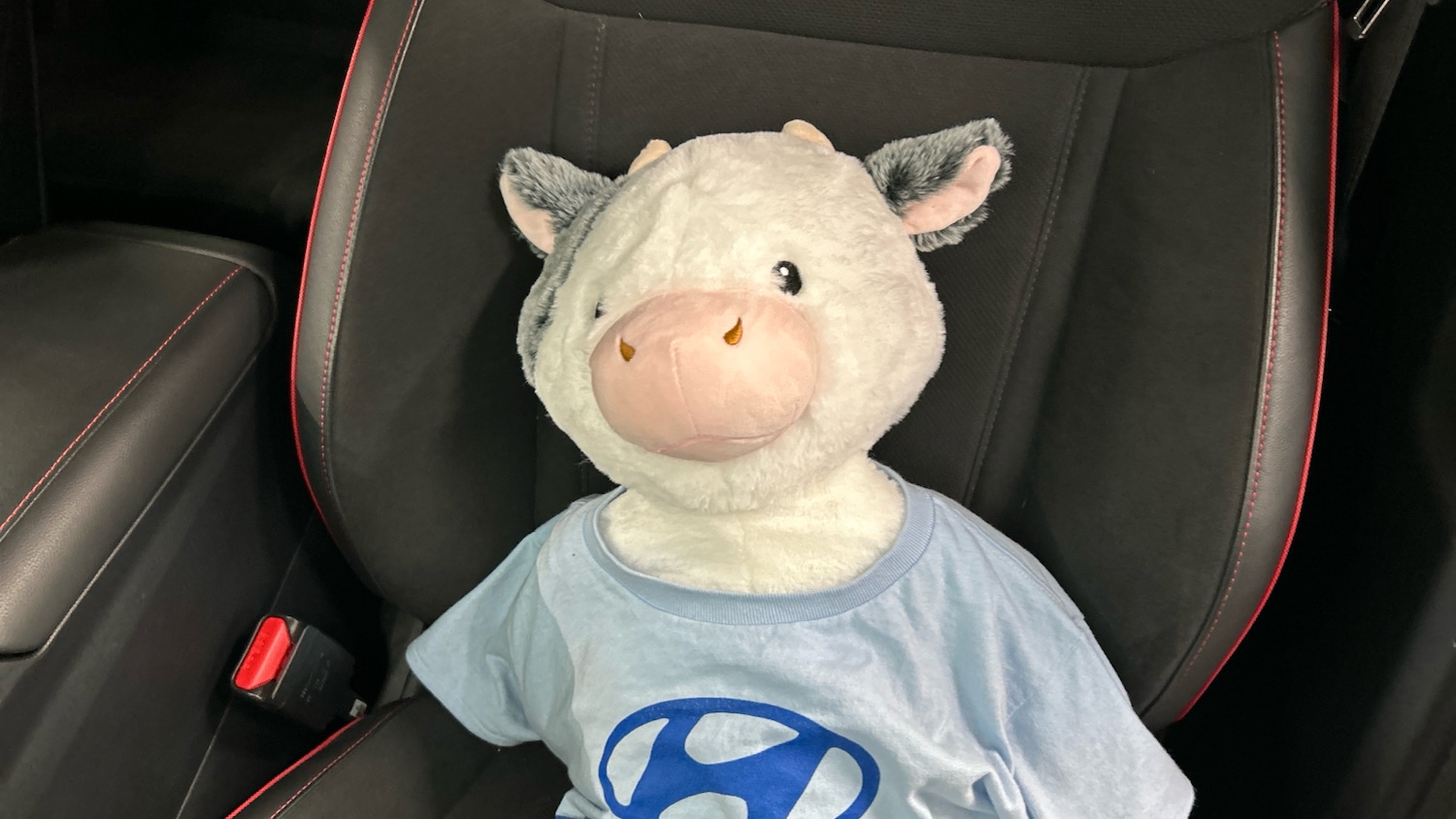 Used Hyundai TUCSON 2022 for sale - 76859656: Photo 36