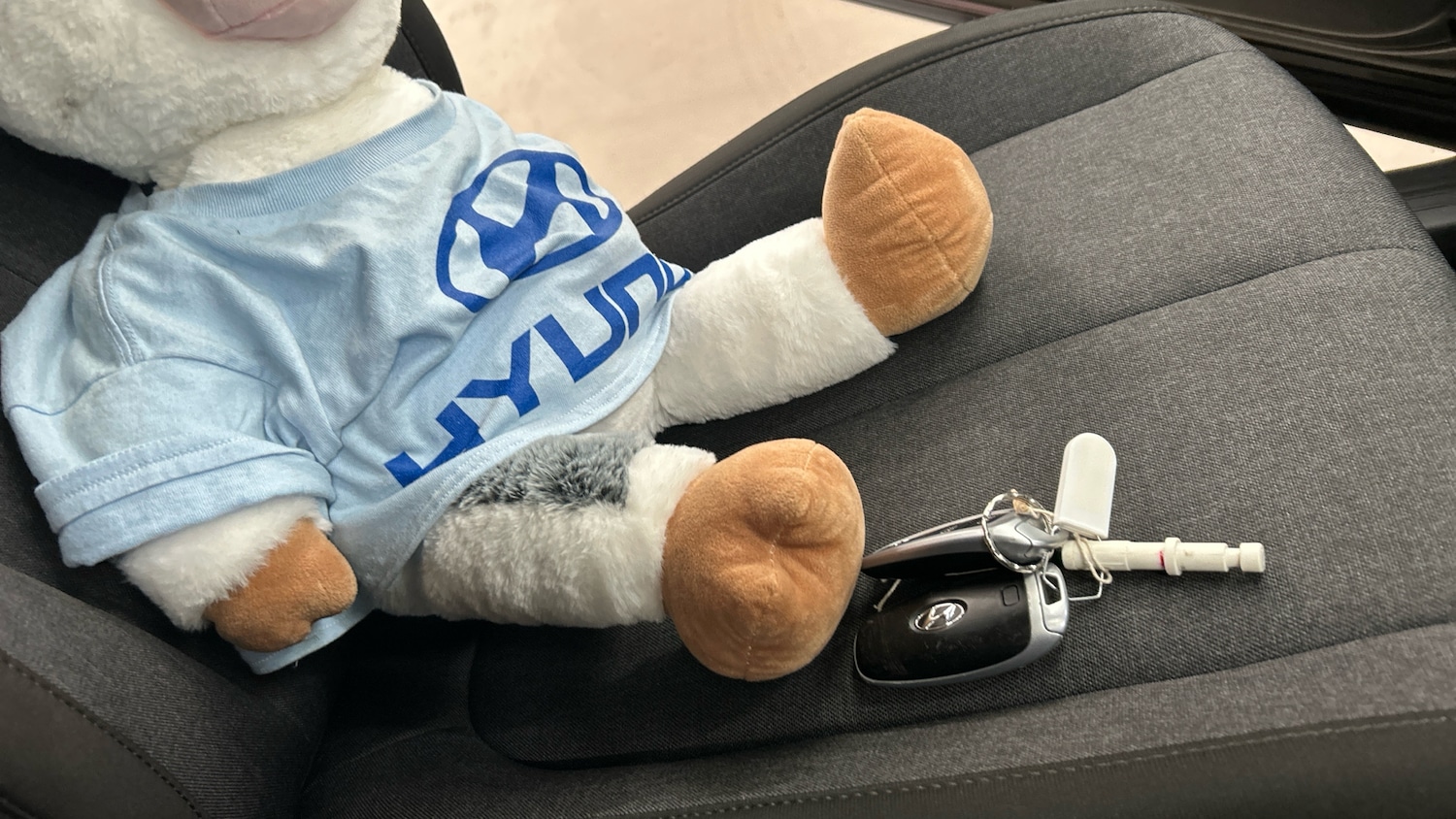 Used Hyundai IONIQ 5 2024 for sale - 77456752: Photo 20