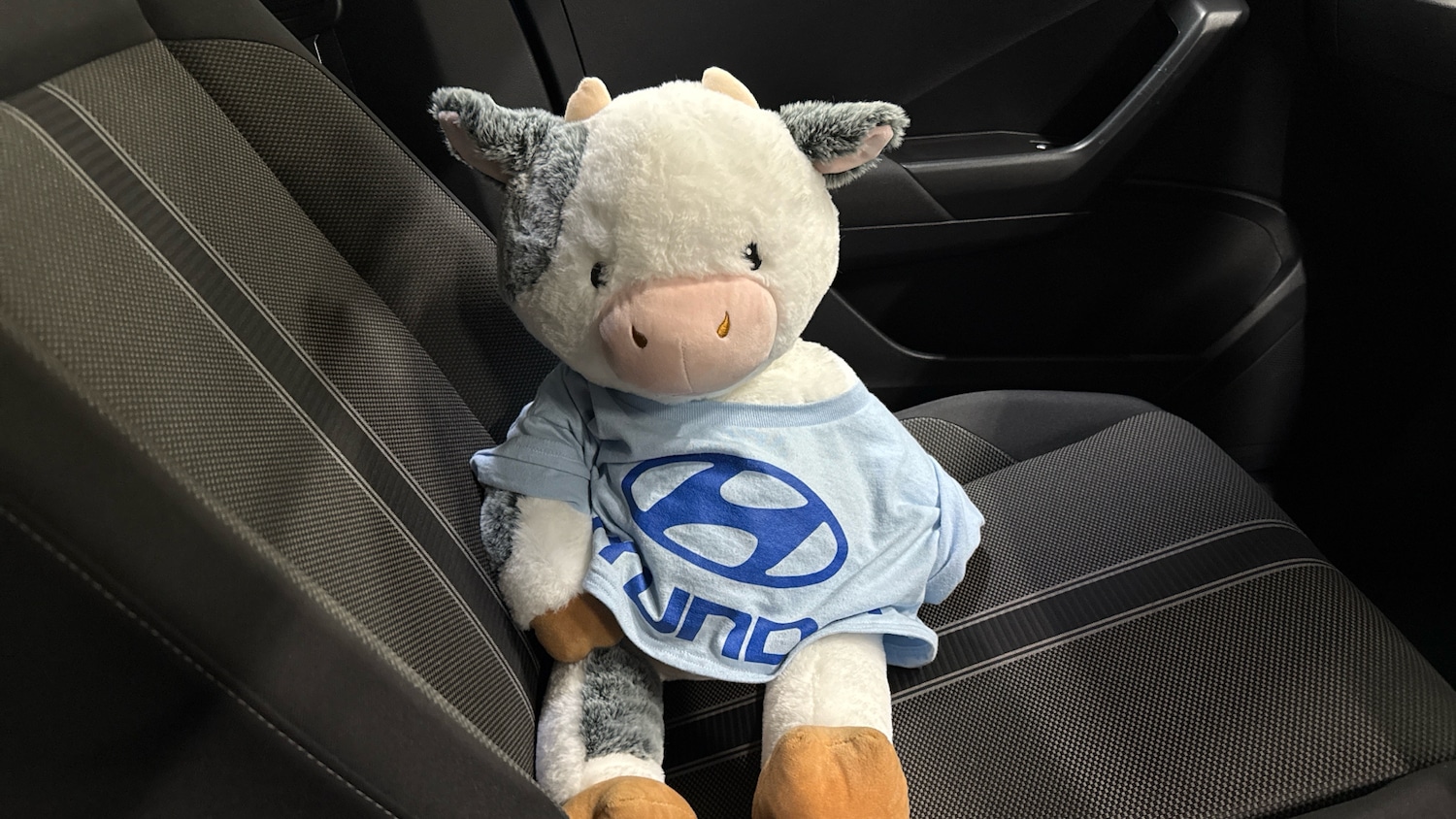 Used Volkswagen T-Roc 2019 for sale - 77342530: Photo 32