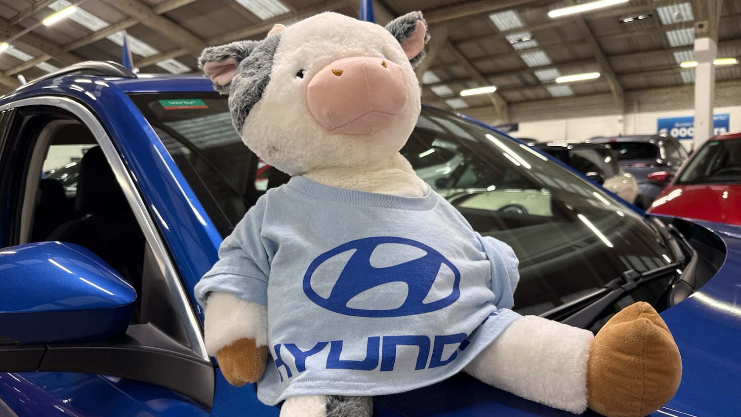 Used Volkswagen T-Roc 2019 for sale - 77342530: Photo 43