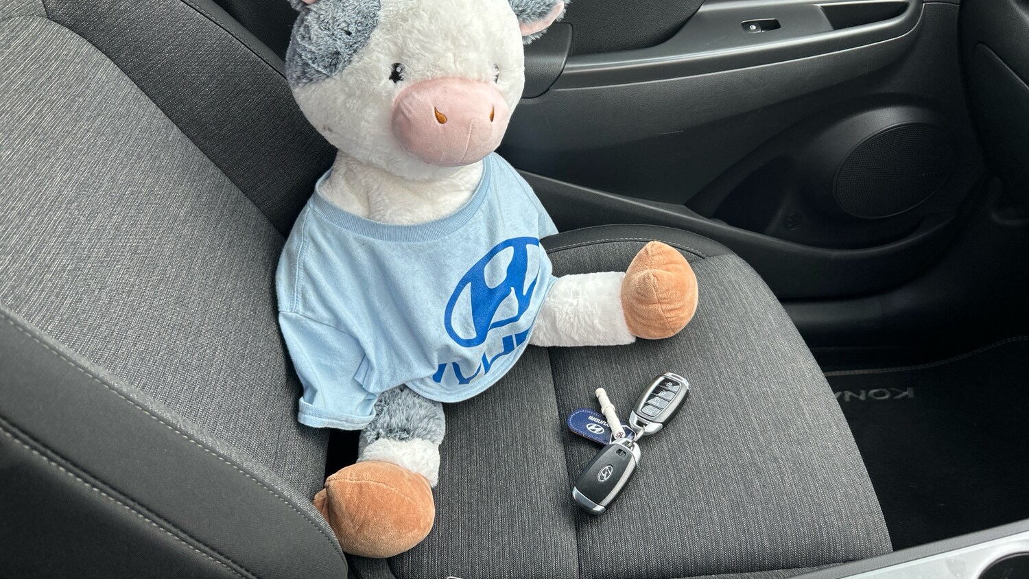 Used Hyundai KONA 2021 for sale - 77528470: Photo 20