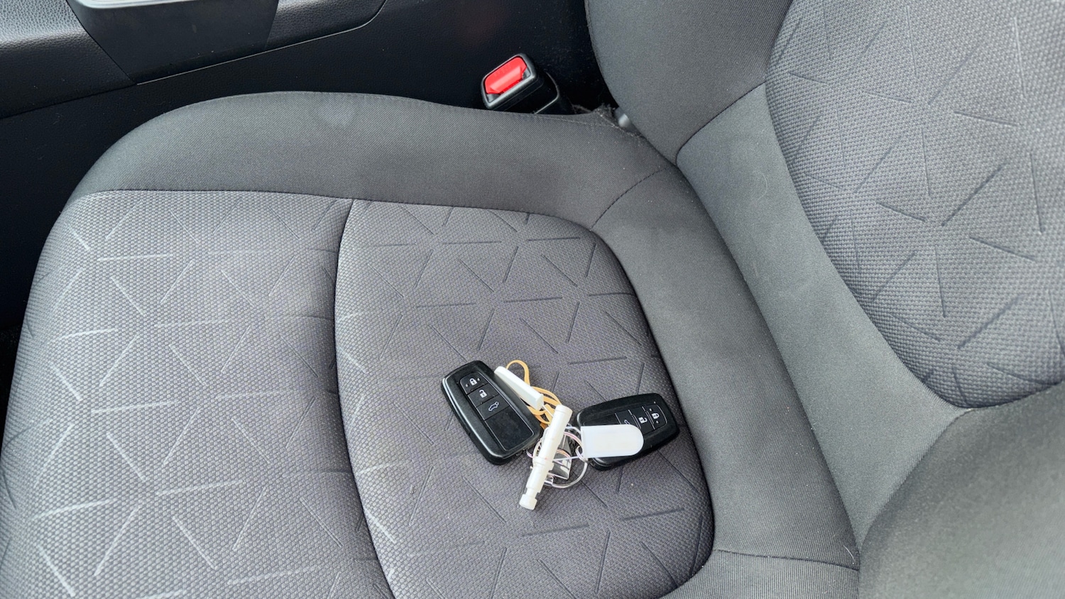 Used Toyota RAV4 2019 for sale - 76352943: Photo 19