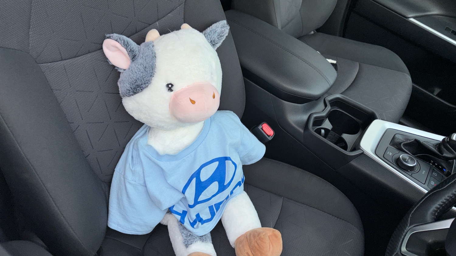 Used Toyota RAV4 2019 for sale - 76352943: Photo 20