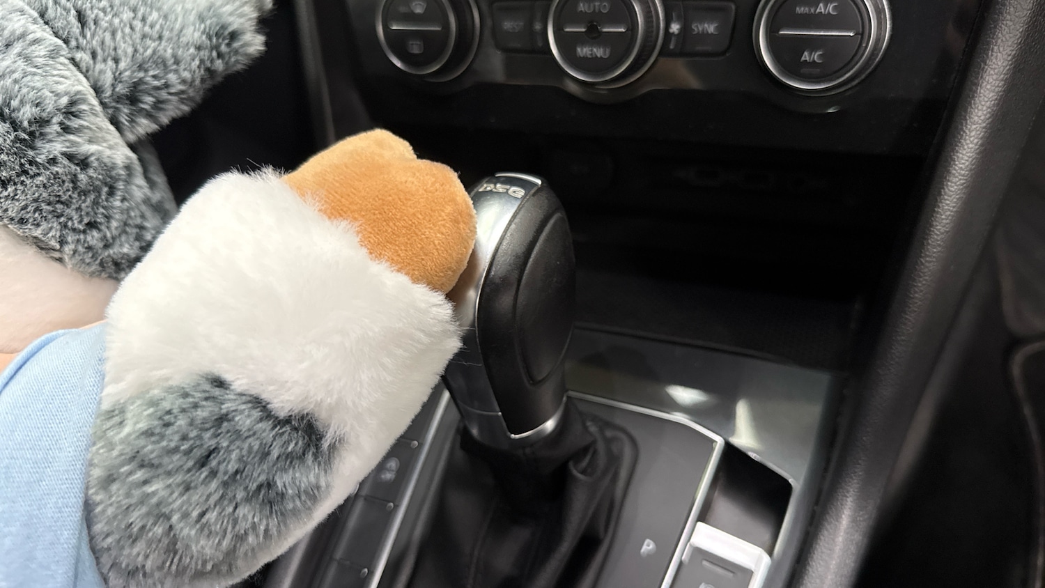 Used Volkswagen Tiguan 2018 for sale - 77342529: Photo 13