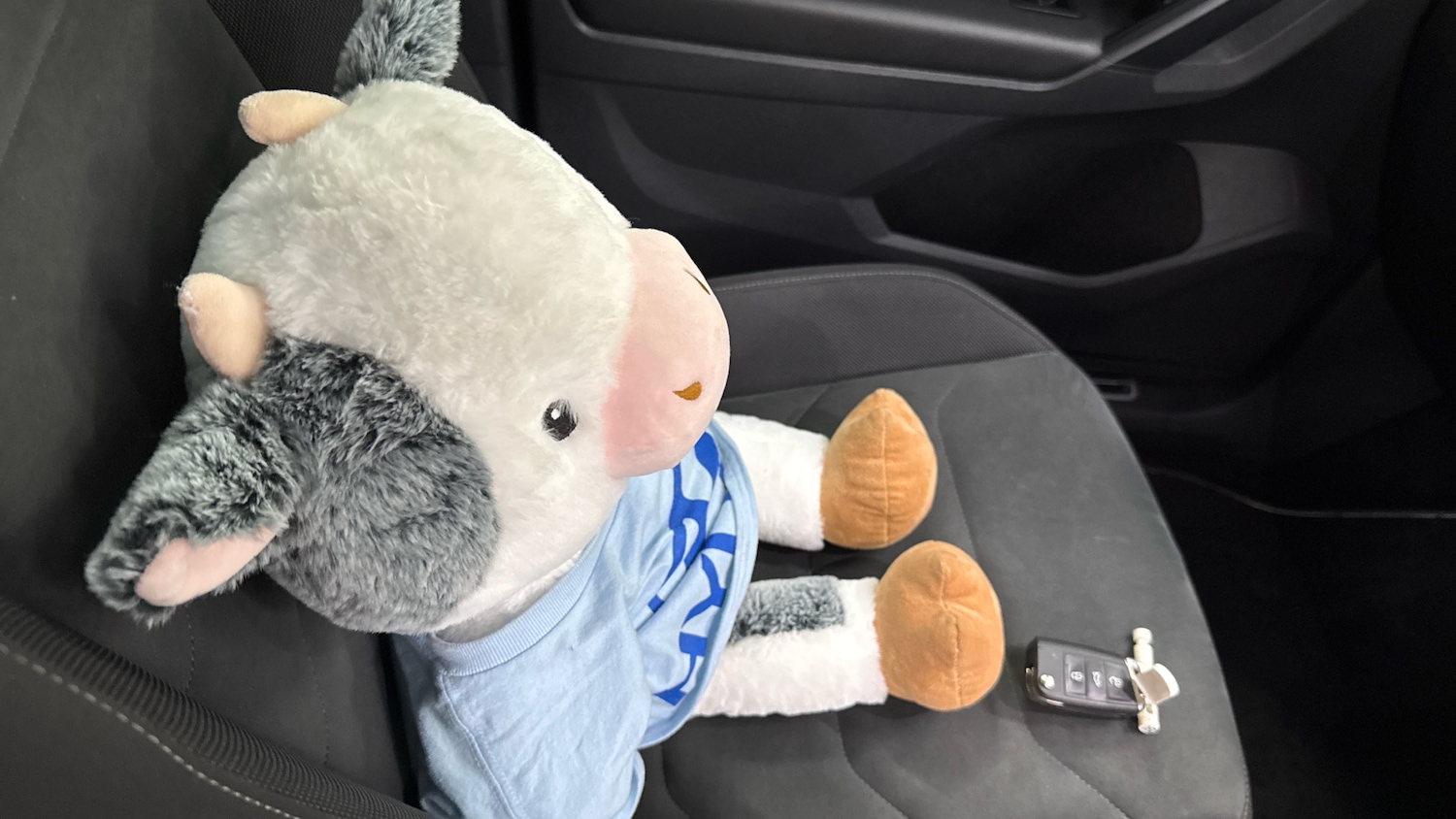 Used Volkswagen Tiguan 2018 for sale - 77342529: Photo 36