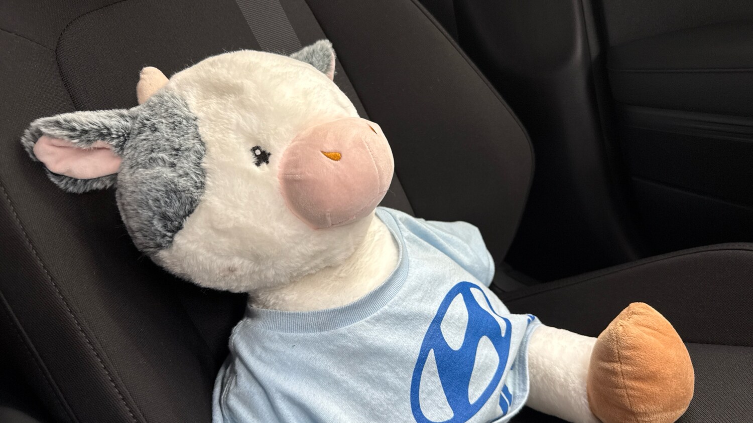 Used Hyundai i20 2024 for sale - 78190930: Photo 34