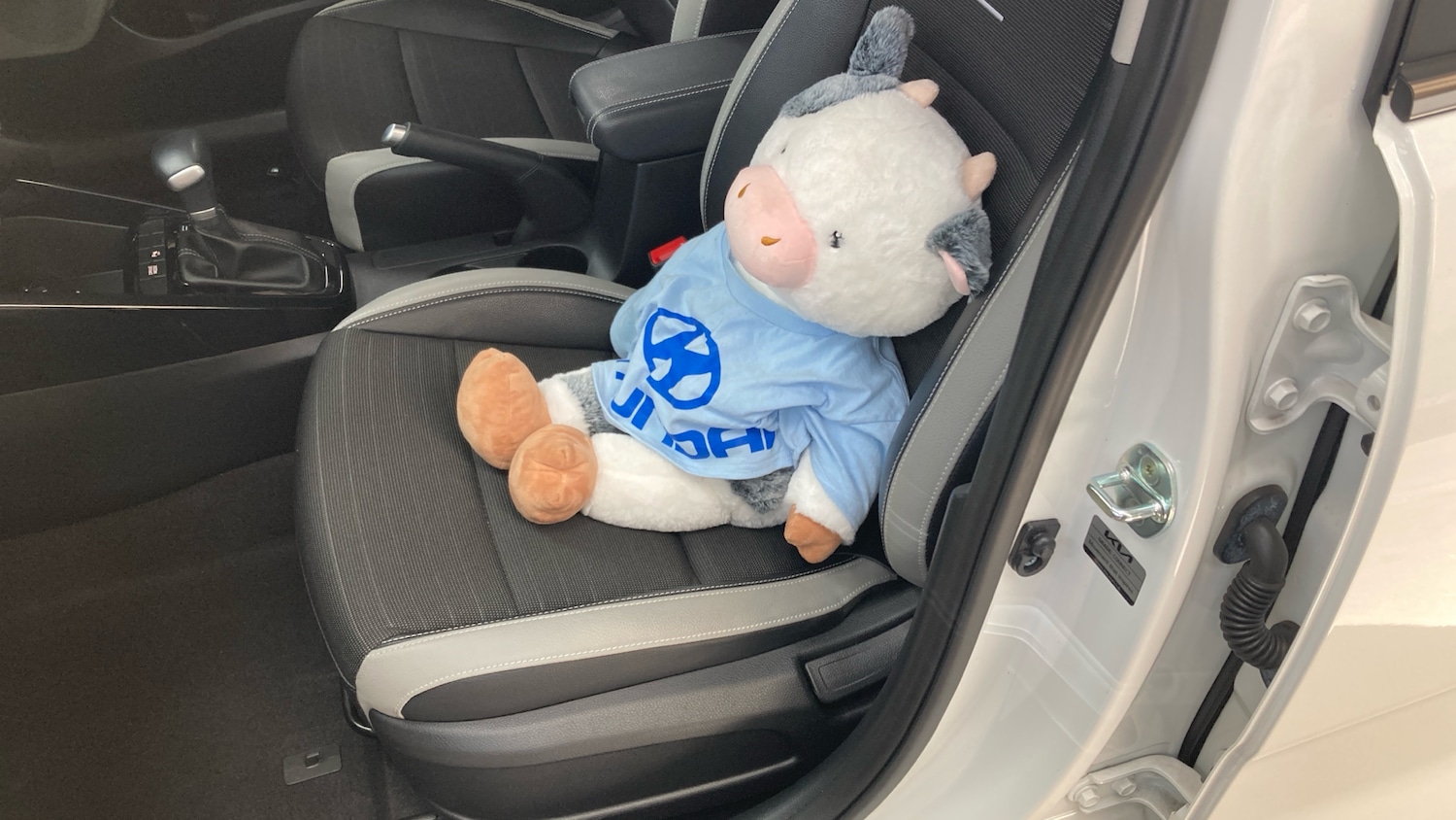 Used Kia Stonic 2022 for sale - 76492112: Photo 34