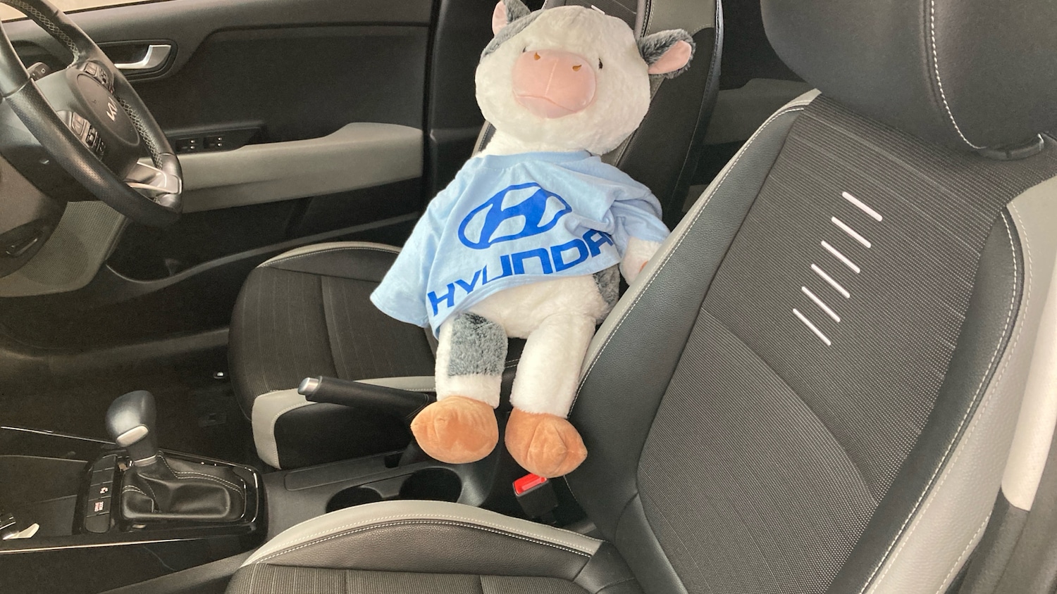 Used Kia Stonic 2022 for sale - 76492112: Photo 35