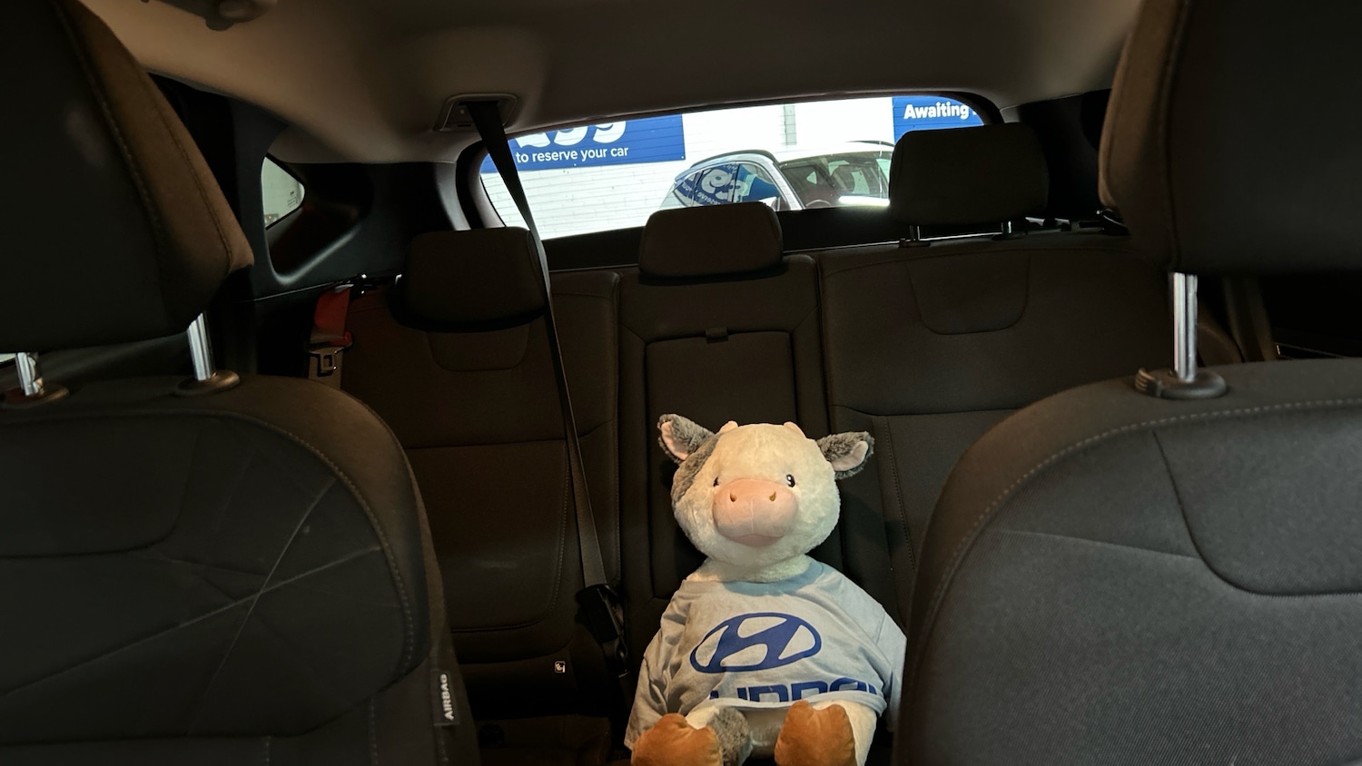 Used Hyundai TUCSON 2021 for sale - 76891979: Photo 15