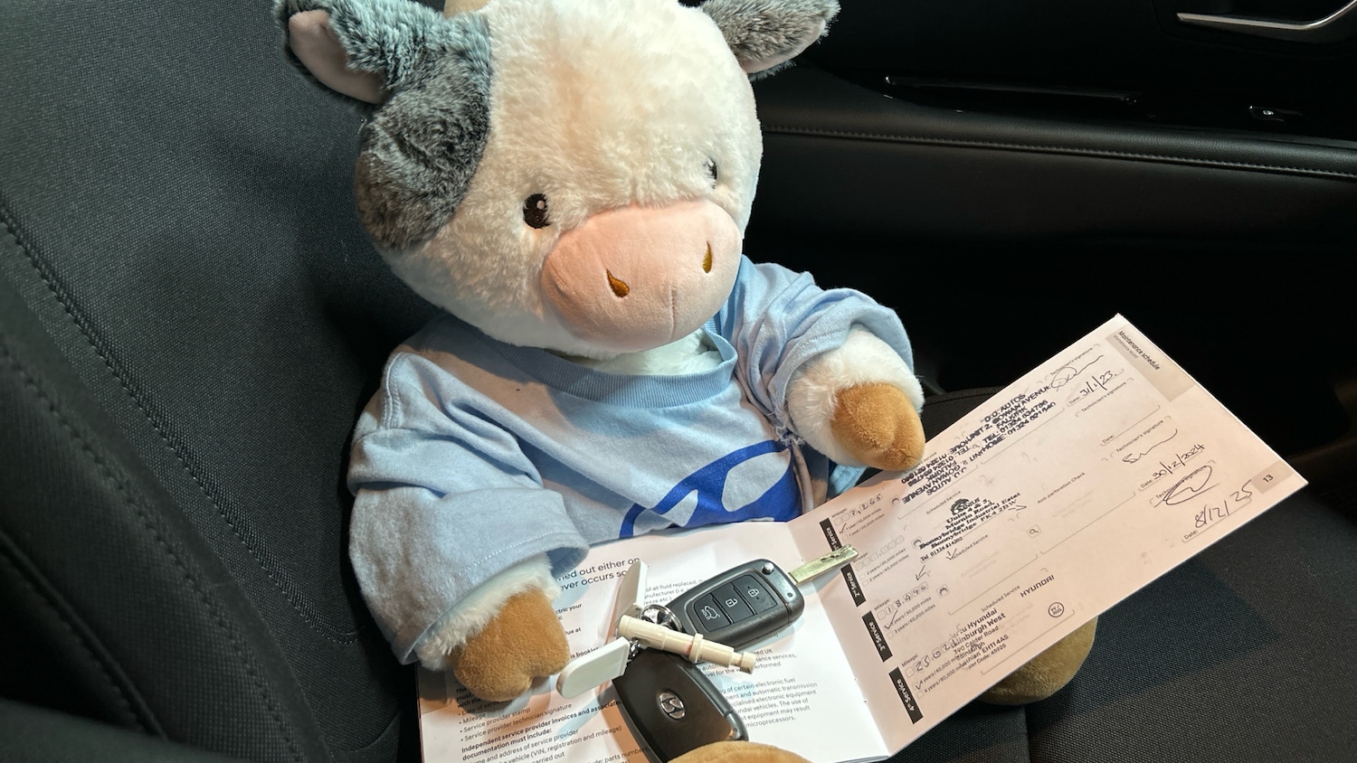 Used Hyundai TUCSON 2021 for sale - 76891979: Photo 19