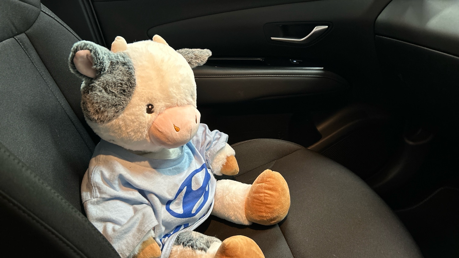 Used Hyundai TUCSON 2021 for sale - 76891979: Photo 34