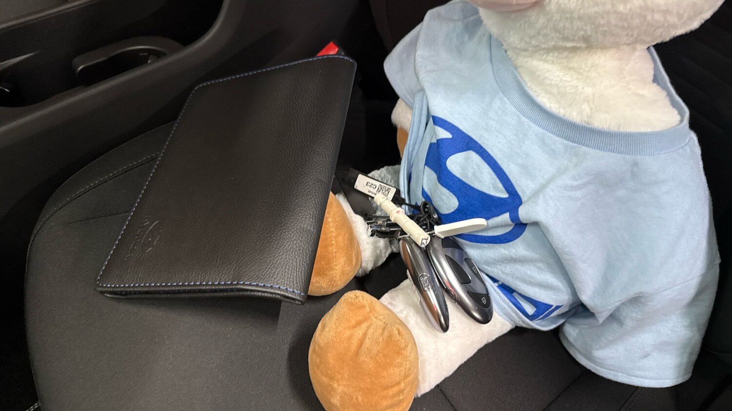 Used Hyundai KONA 2025 for sale - 76504430: Photo 20