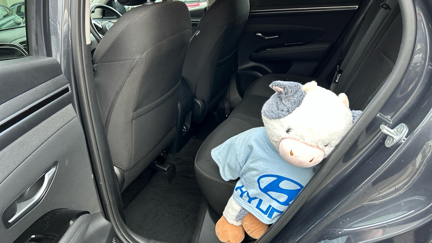 Used Hyundai TUCSON 2021 for sale - 76862282: Photo 16