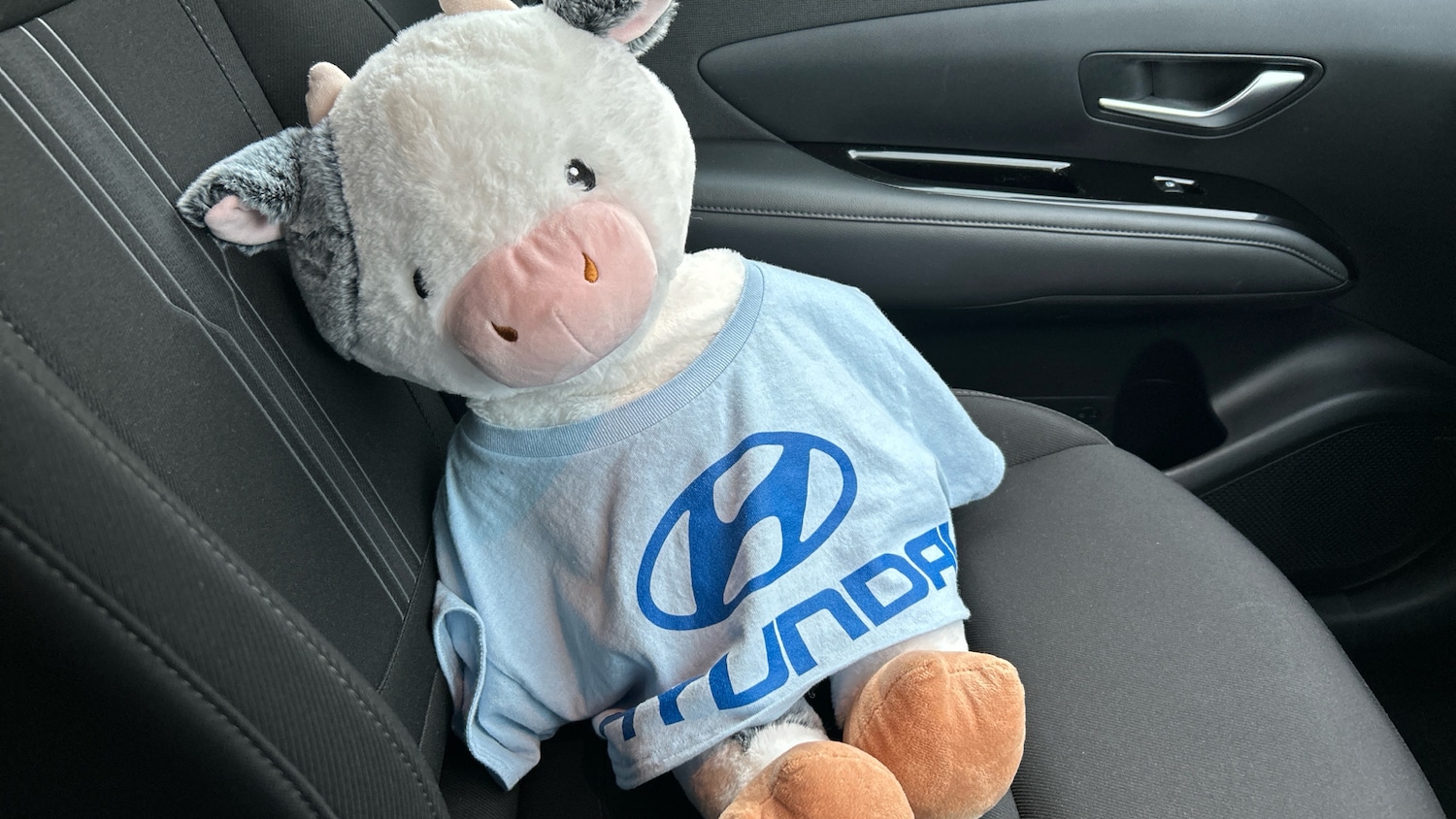 Used Hyundai TUCSON 2021 for sale - 76862282: Photo 33