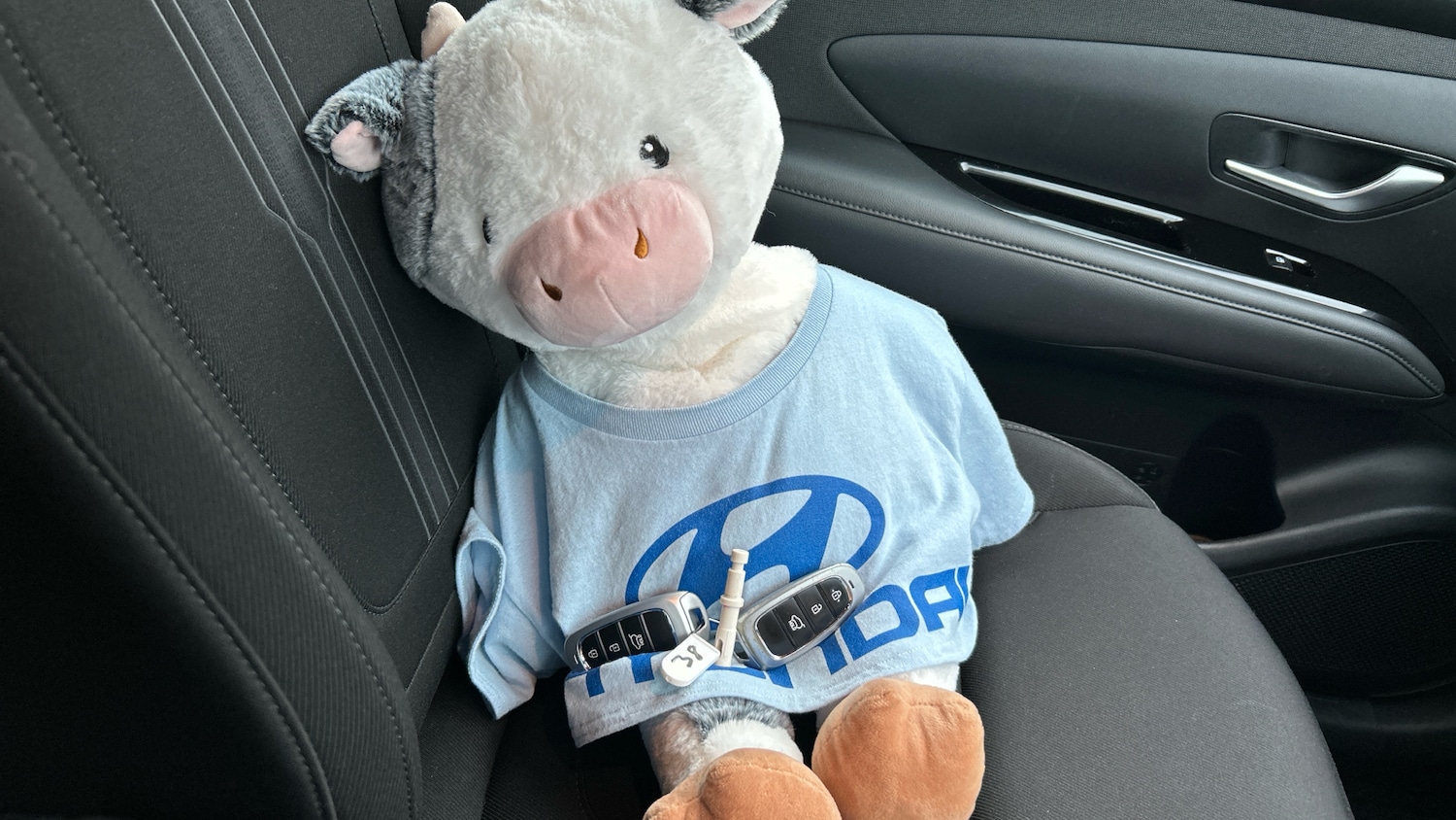 Used Hyundai TUCSON 2021 for sale - 76862282: Photo 34