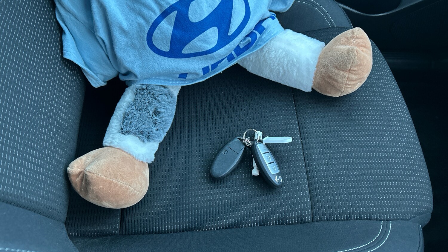 Used Nissan Qashqai 2022 for sale - 77677009: Photo 20