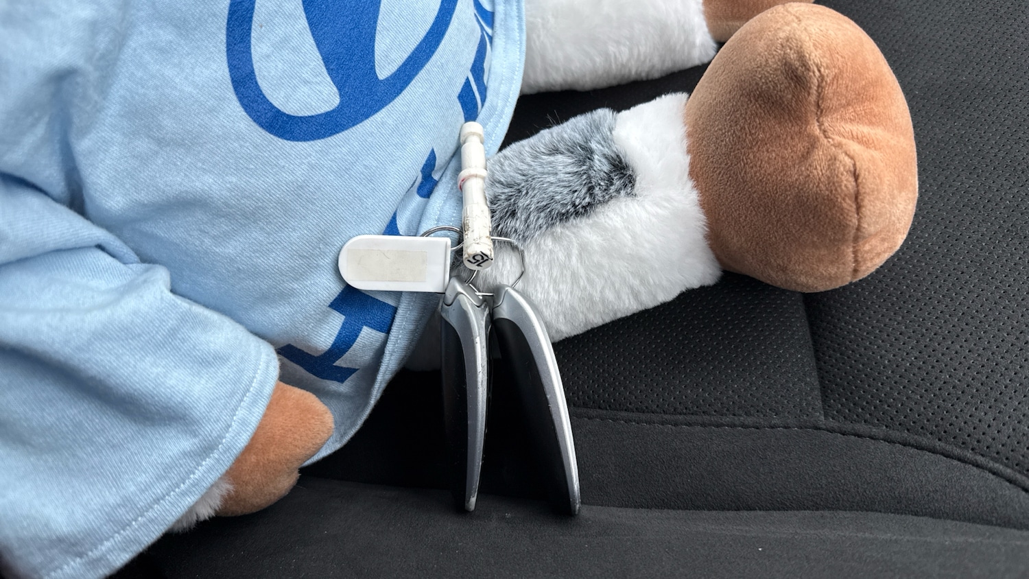 Used Hyundai TUCSON 2022 for sale - 76905962: Photo 19