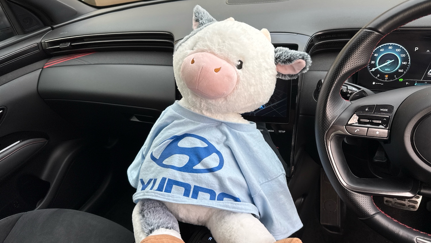 Used Hyundai TUCSON 2022 for sale - 76905962: Photo 32