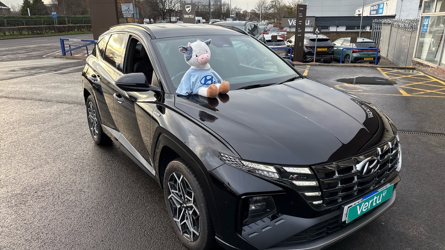 Used Hyundai TUCSON 2022 for sale - 76905962: Photo 41