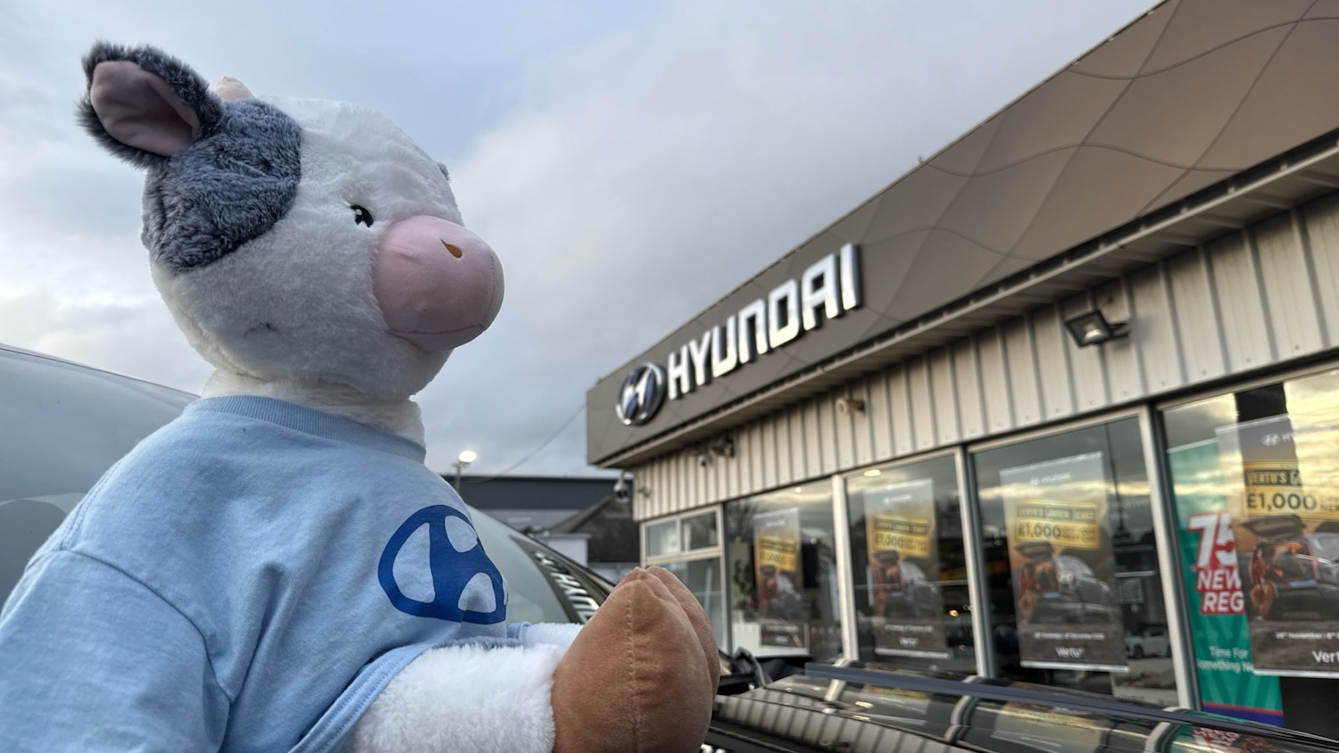 Used Hyundai TUCSON 2022 for sale - 76905962: Photo 43