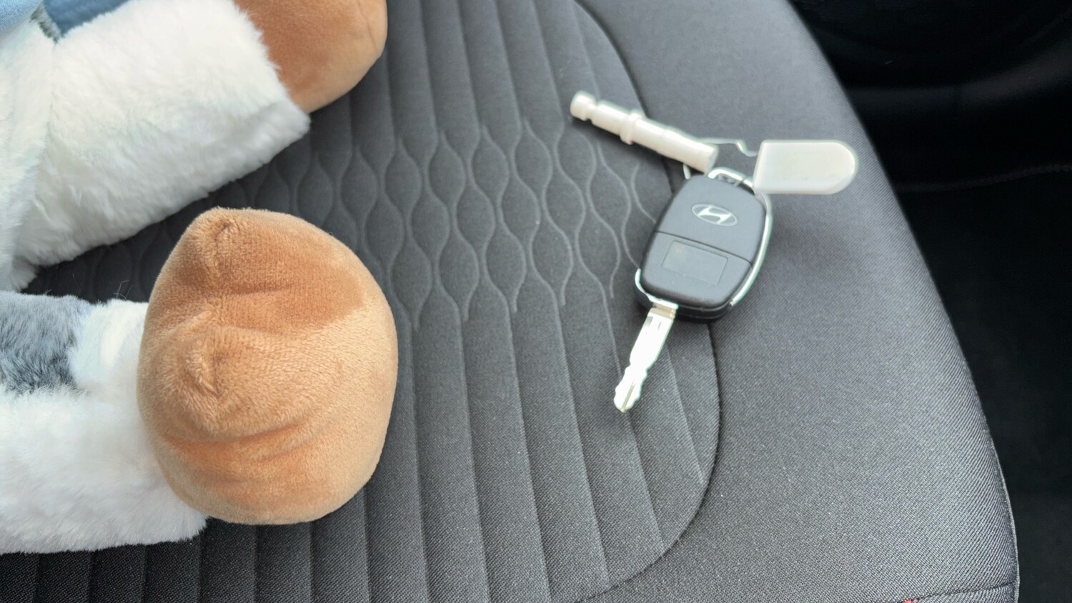 Used Hyundai i10 2025 for sale - 76220714: Photo 20